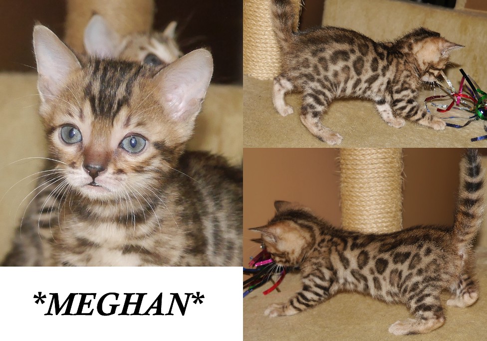 Meghan 6 weeks