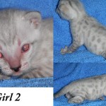 girl22wks girl22wks