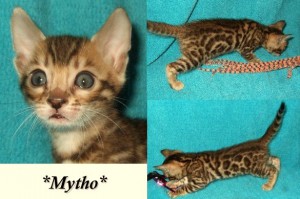 Mytho6wks