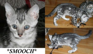 Smooch 7 weeks old