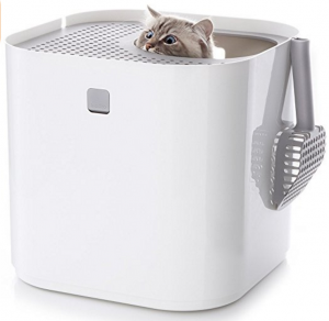 Bengal Cat Litter Box