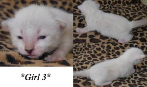 Baby - 2 Weeks