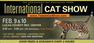 2019 Toledo Cat Show