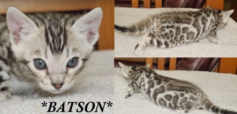 Batson 5 Weeks