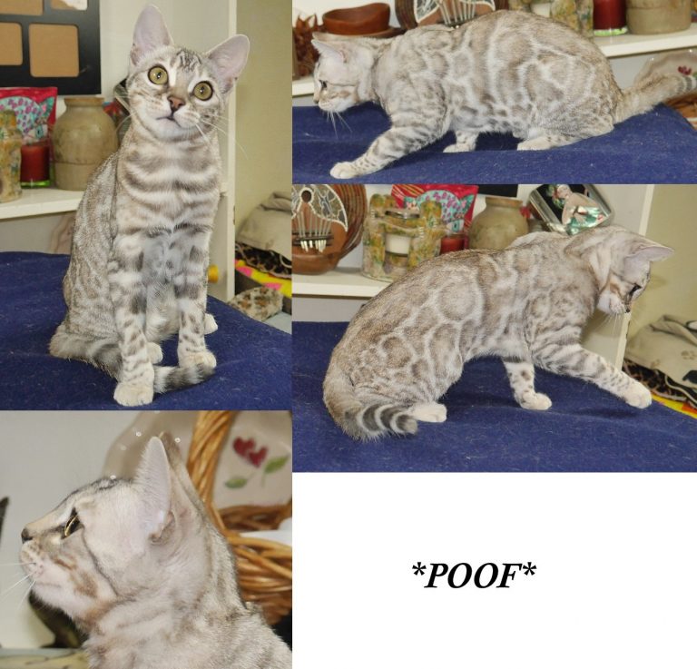 Poof 5 Months