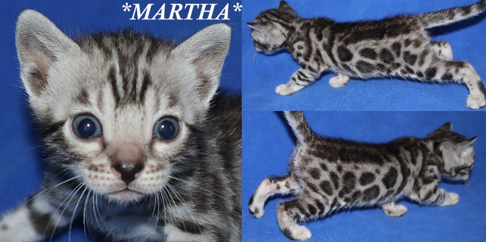Martha 4 Weeks