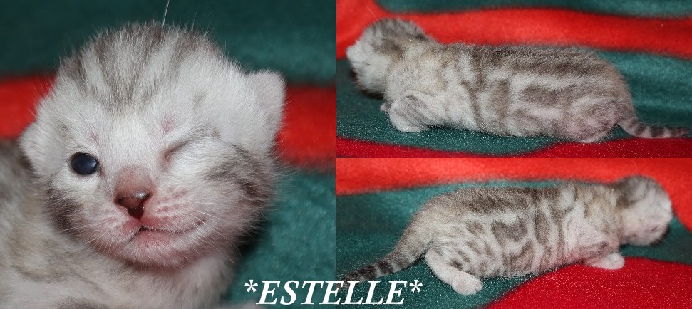 Estelle 1 Week