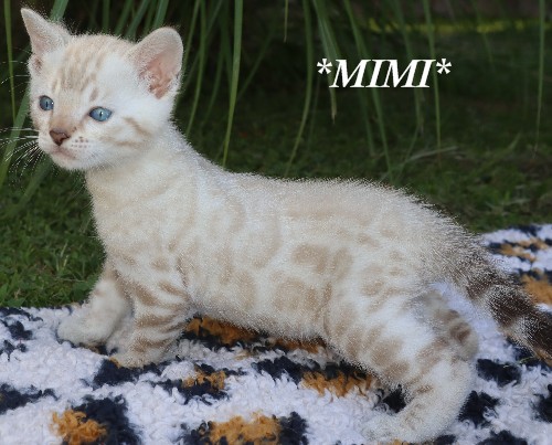 Mimi 5 Weeks