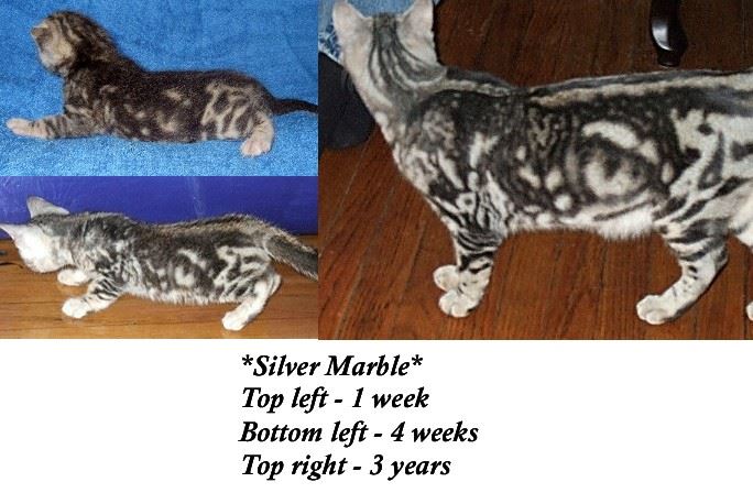Silver Marble Example 1