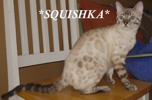 Squishka 8 Months