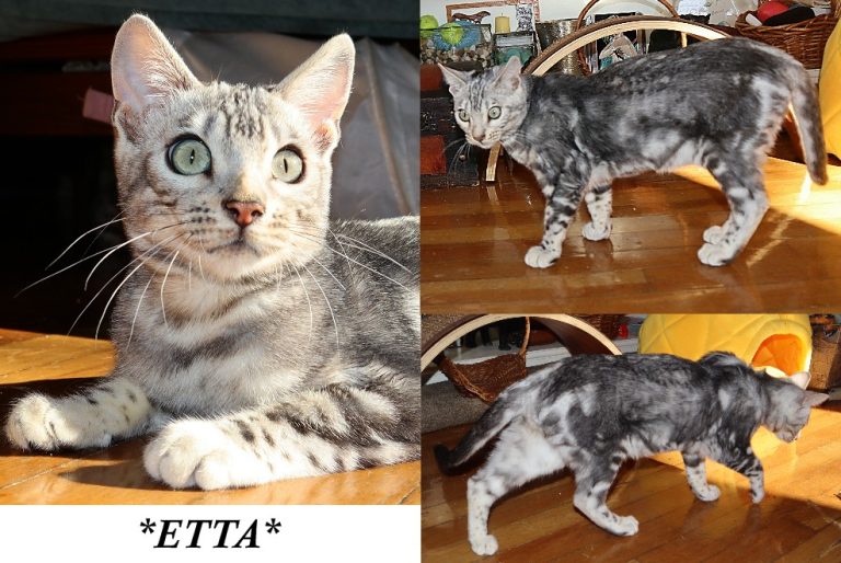 Etta 19 Weeks