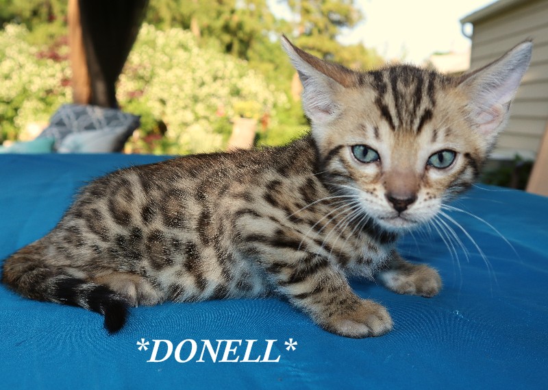 Donell 6 Weeks