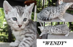 Wendy 6 Weeks