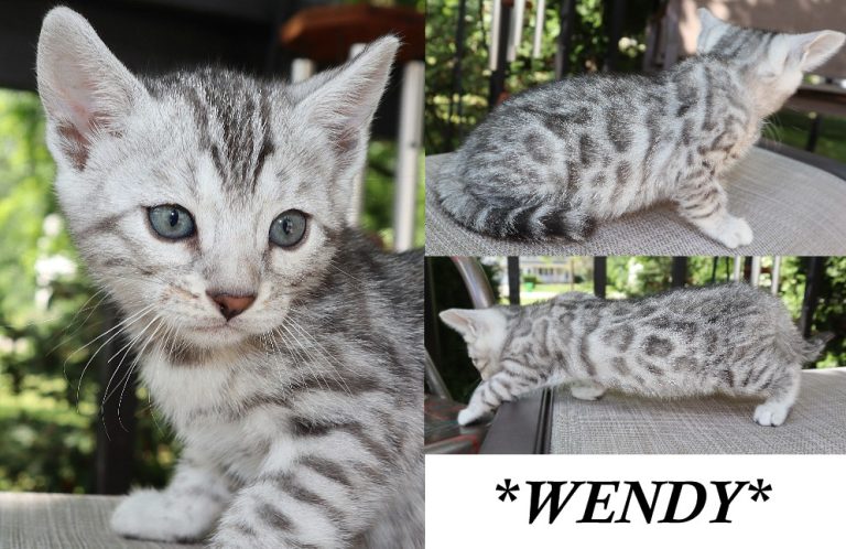 Wendy 6 Weeks