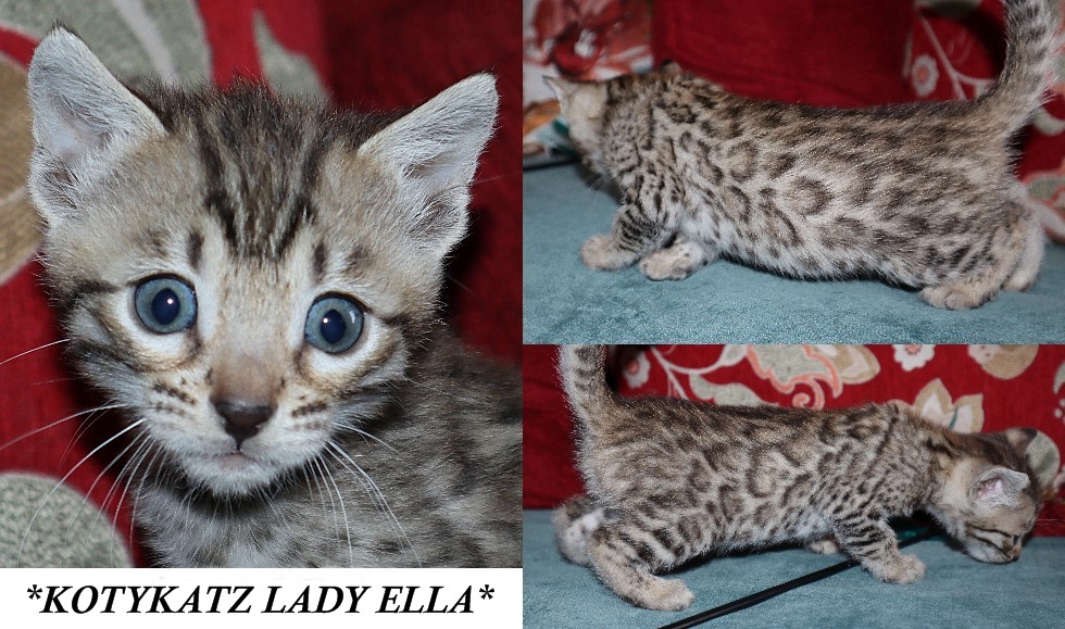 Lady Ella 5 Weeks