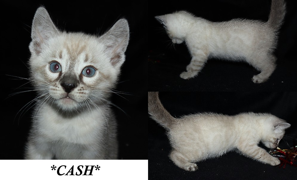 Cash 6 Weeks