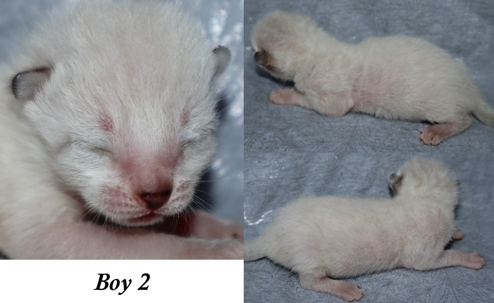Yahoo 1 Week