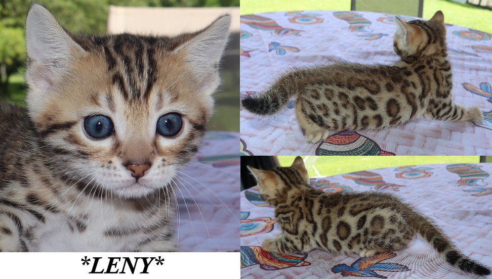 Leny 5 Weeks
