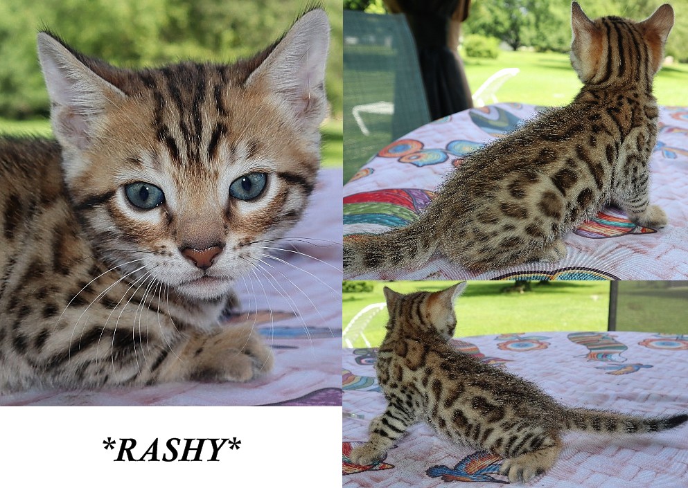 Rashy 5 Weeks