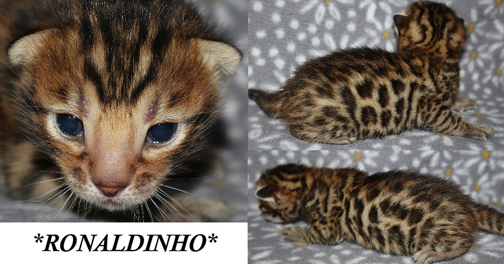 Ronaldinho 2 Weeks