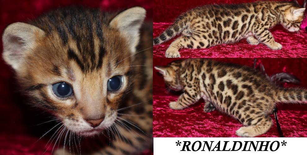 Ronaldinho 3 Weeks