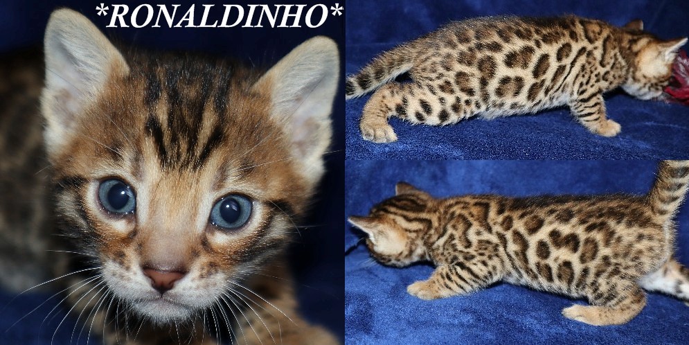 Ronaldinho 4 Weeks