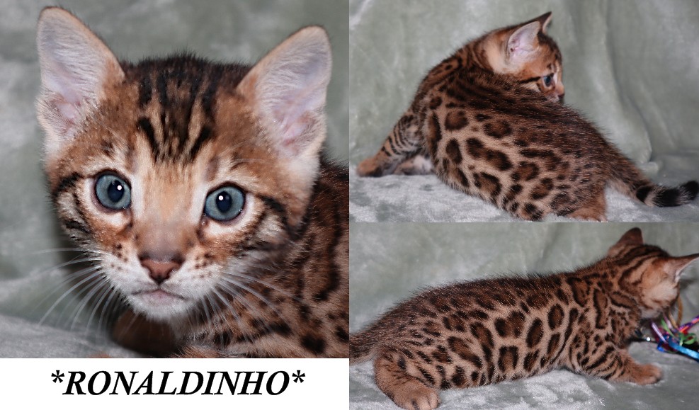 Ronaldinho 5 Weeks