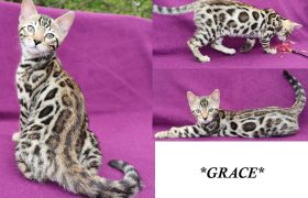Grace 10.5 Weeks
