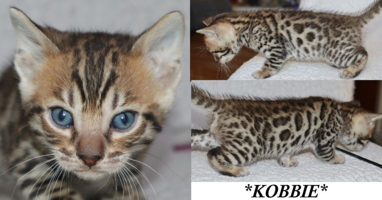 Kobbie 5 Weeks