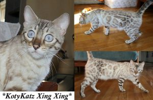 KotyKatz Xing Xing 1.5 Years