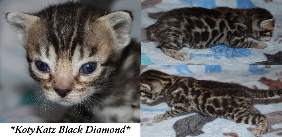 Black Diamond 3 Weeks