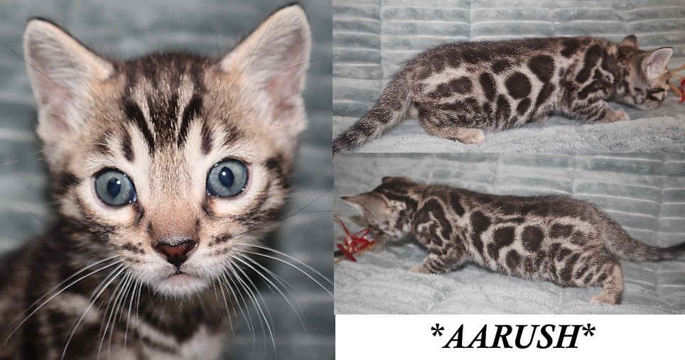 Aarush 5 Weeks