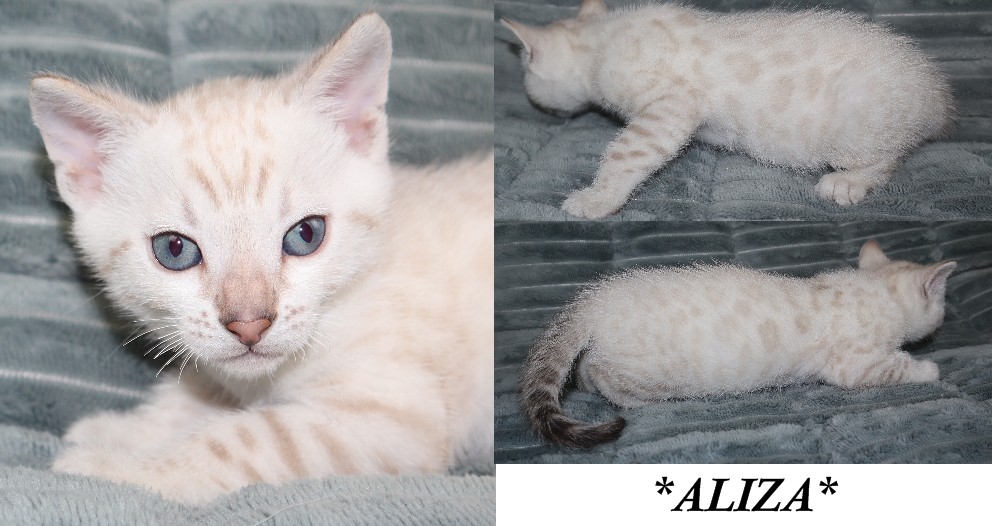 Aliza 5 Weeks