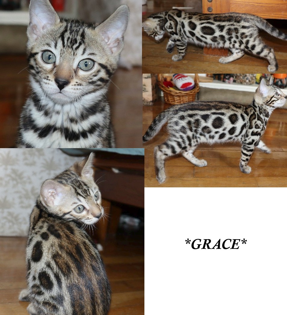 Grace 10 Weeks