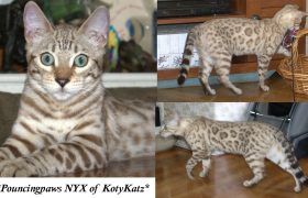NYX 7 Months