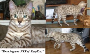 NYX 7 Months