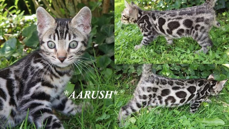 Aarush 10 Weeks