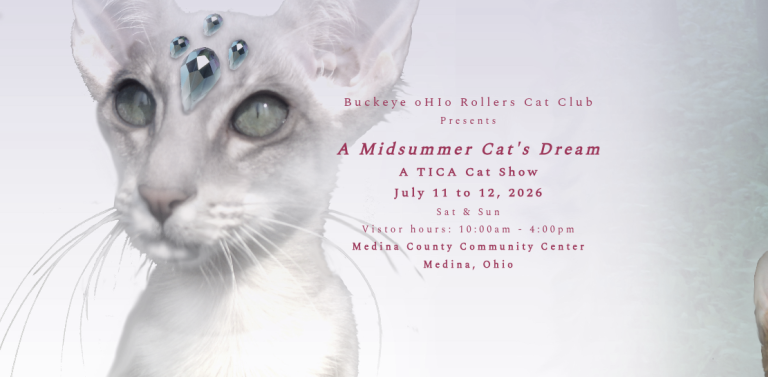 A Midsummer Cat’s Dream – Cat Show 2026