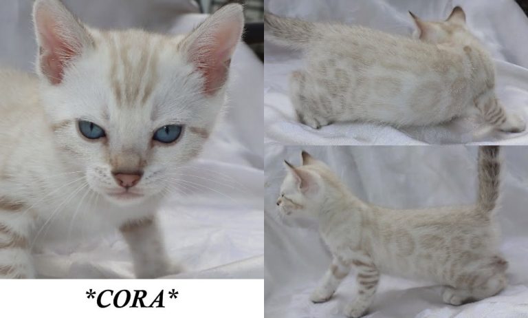 Cora 6 Weeks