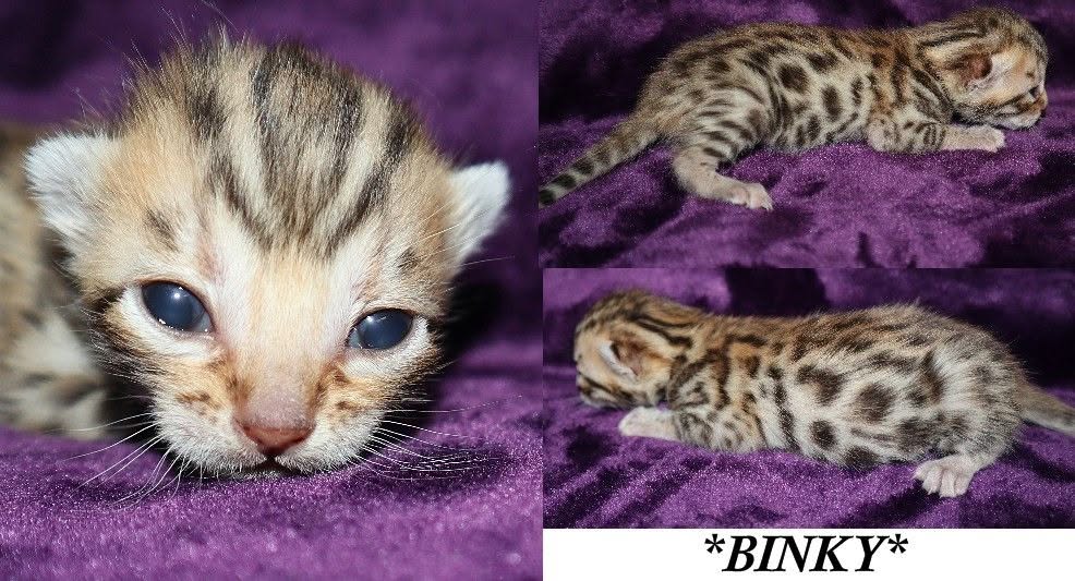 Binky 2 Weeks