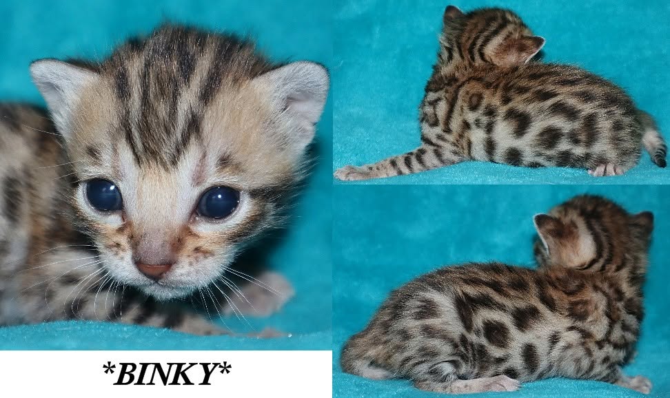 Binky 3 Weeks