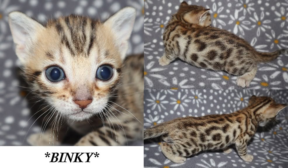 Binky 4 Weeks