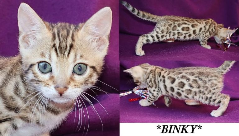 Binky 6 Weeks