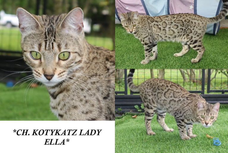 Ella 2.5 Years