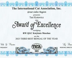 MeeChee 3rd Best Bengal of the Year