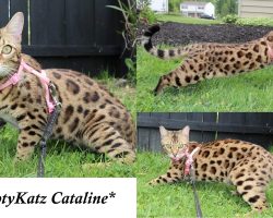 Cataline 8 Months