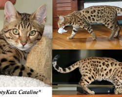 Cataline 5 Months