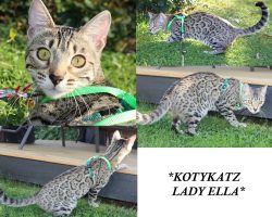 Lady Ella 8 Months