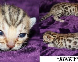 Binky 2 Weeks