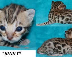 Binky 3 Weeks